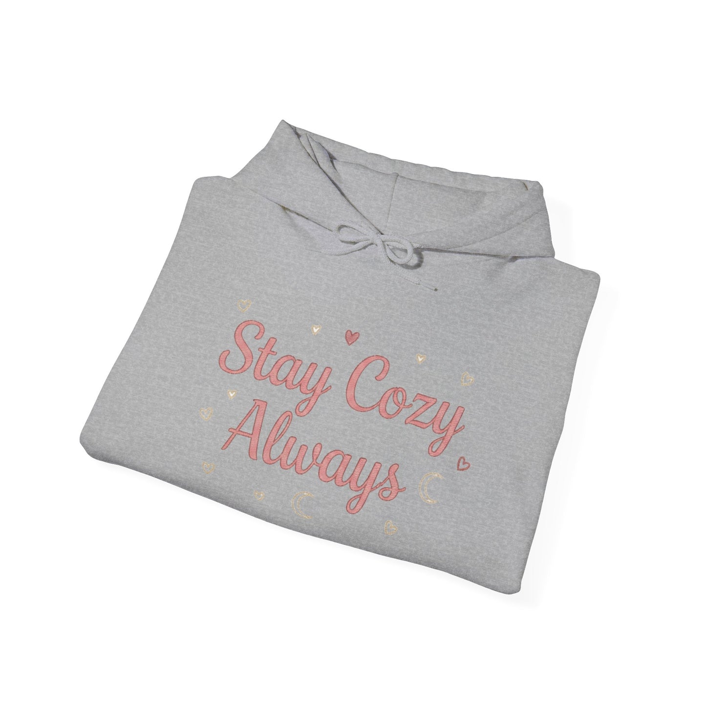 Women's Cozy Pastel Hoodie | Cute Stay Kind Stay Wild Graphic
