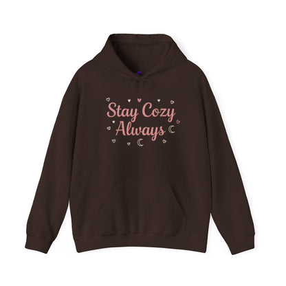 Women's Cozy Pastel Hoodie | Cute Stay Kind Stay Wild Graphic