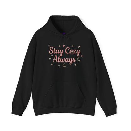 Women's Cozy Pastel Hoodie | Cute Stay Kind Stay Wild Graphic