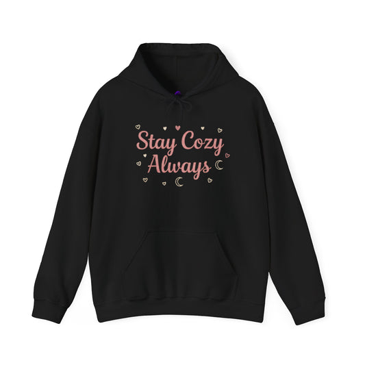 Women's Cozy Pastel Hoodie | Cute Stay Kind Stay Wild Graphic